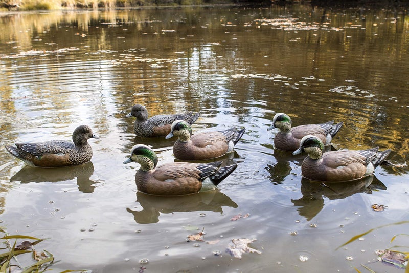Flambeau Outdoors 8024SUV Storm Front 2 Wigeon Decoys, Classic Floaters - 6-Pack - Image 3